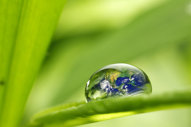 树叶与雨滴-恢复土地的概念图片下载