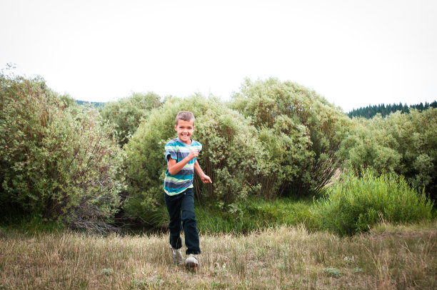 在田野里奔跑图片下载