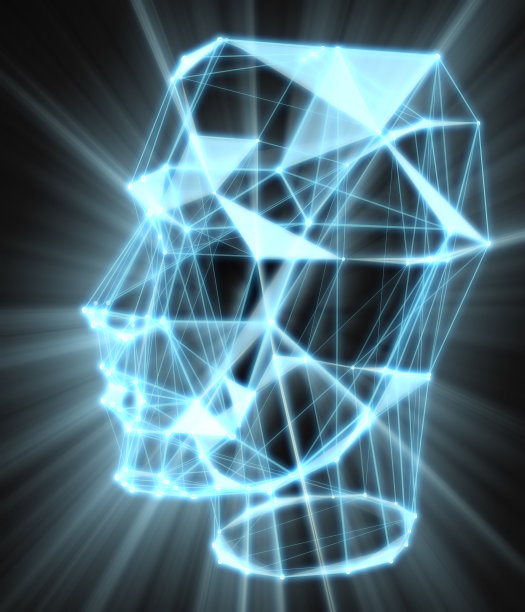 三维的头图片下载