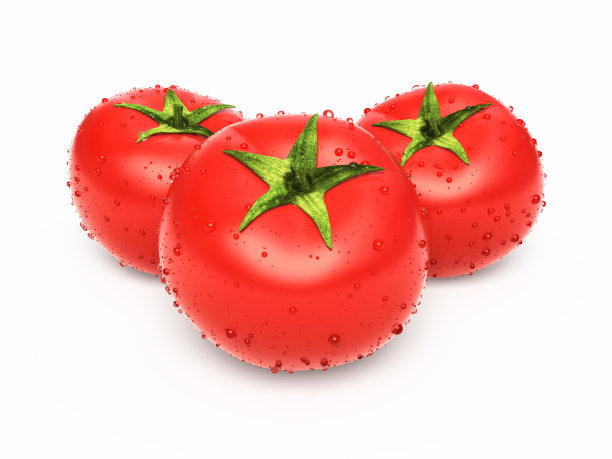 番茄图片下载