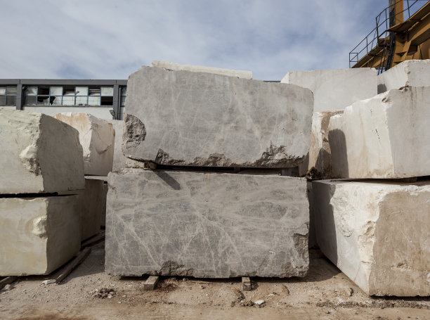 大理石植物中的大理石块图片下载