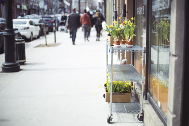 水仙花在外面的架子上图片下载