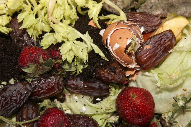 生的堆肥图片下载