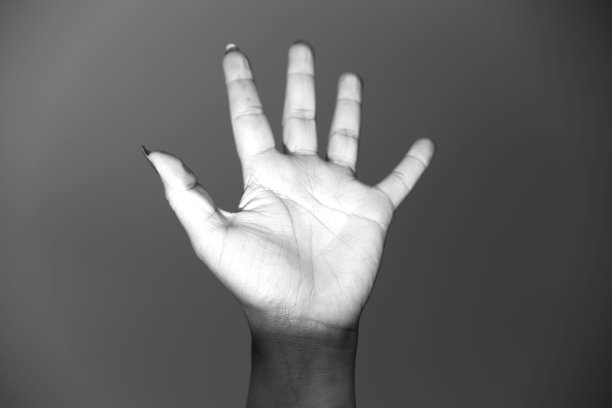 的手掌图片下载