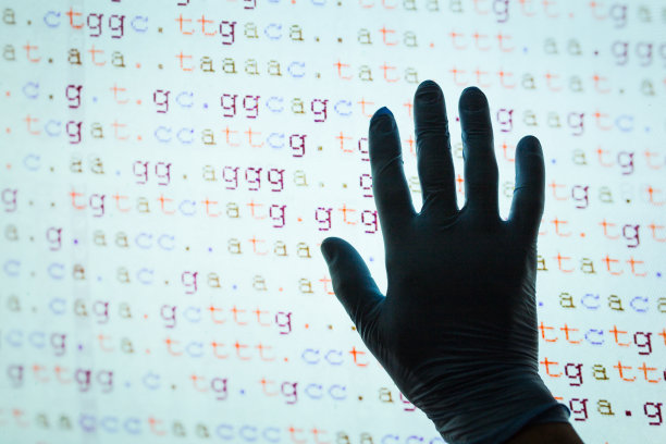 用一只手触摸屏幕上的DNA代码图片下载