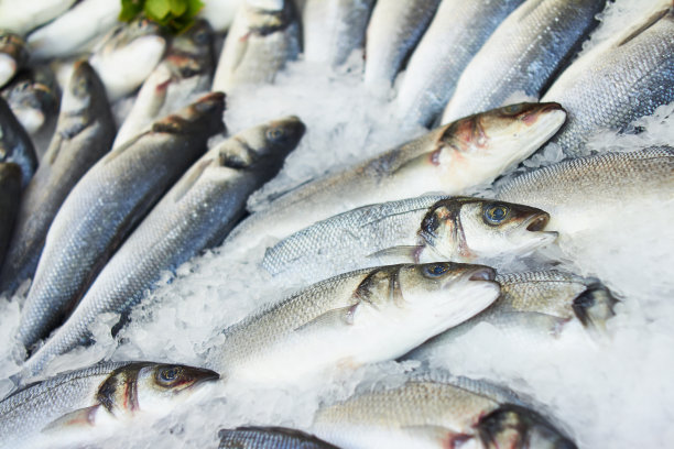市场上的鲜鱼素材图片