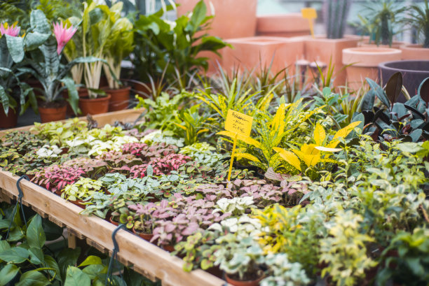 工厂出售图片下载