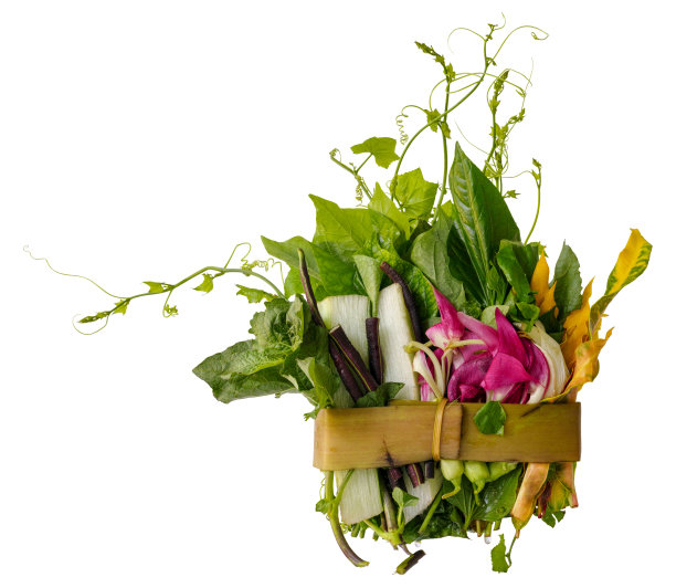 泰国北部的草药、香料和蔬菜，泰国北部的传统食谱叫做Gaeng Khae，这是一种用时令鲜花和香草混合而成的咖喱，可以和散养的鸡肉或猪肉一起烹饪。图片下载