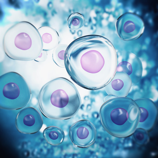 生物照片素材专题