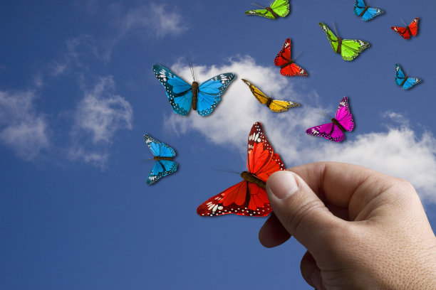 人的手和蝴蝶在天空中飞翔图片下载