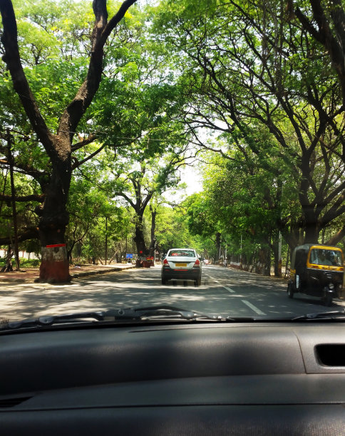 从车内看印度浦那绿树成荫的道路图片下载