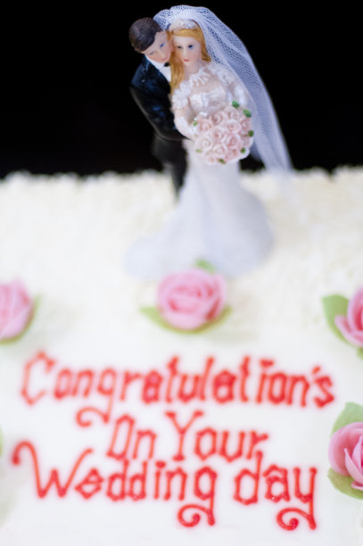 婚礼蛋糕短大衣图片下载