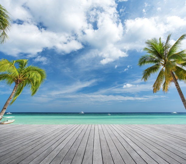热带海边棕榈树下的木制平台图片下载