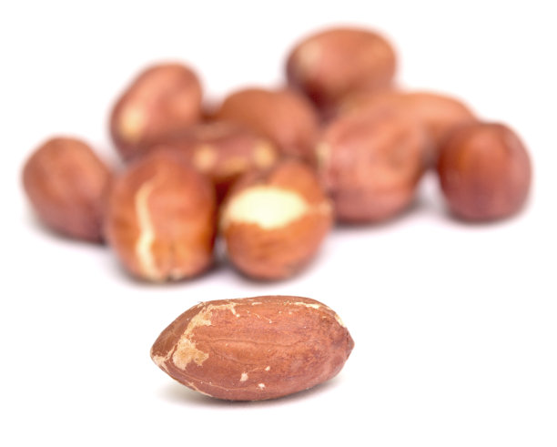 花生在白图片下载