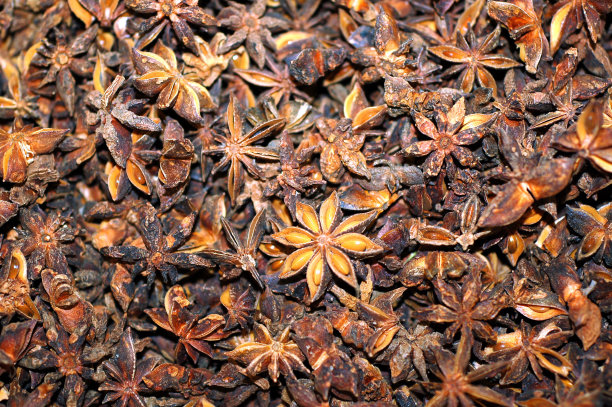 干明星茴香酒图片下载