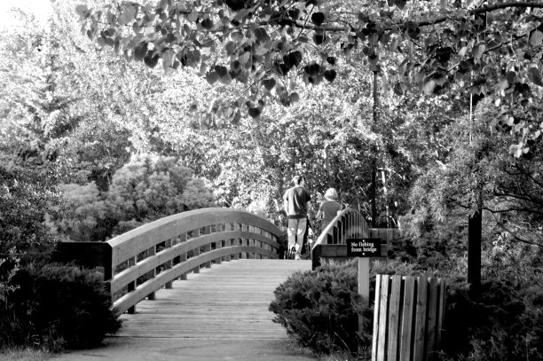 在公园里散步。图片下载