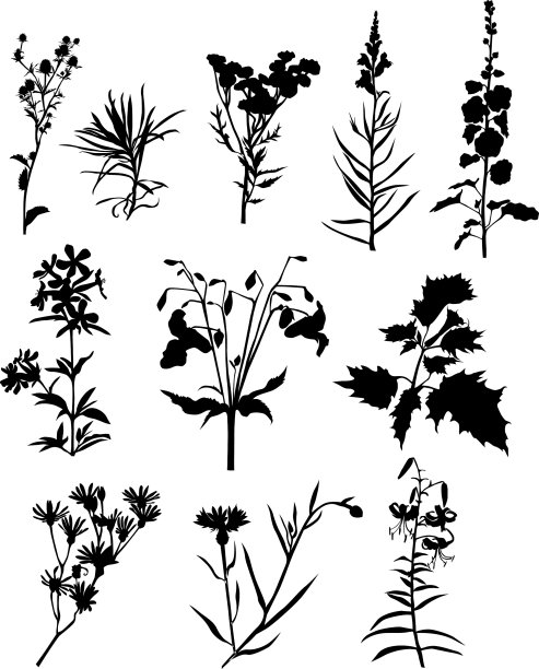 工厂集十三世图片下载