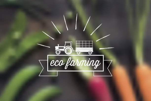 模糊食品背景上的生态农业质量标志图片下载