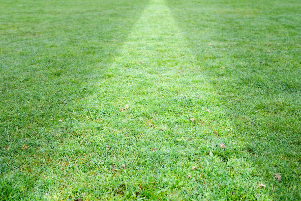 割草图片下载