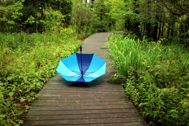 孤独的伞图片下载