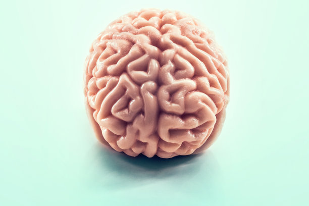 蓝色背景下的人类大脑图片下载