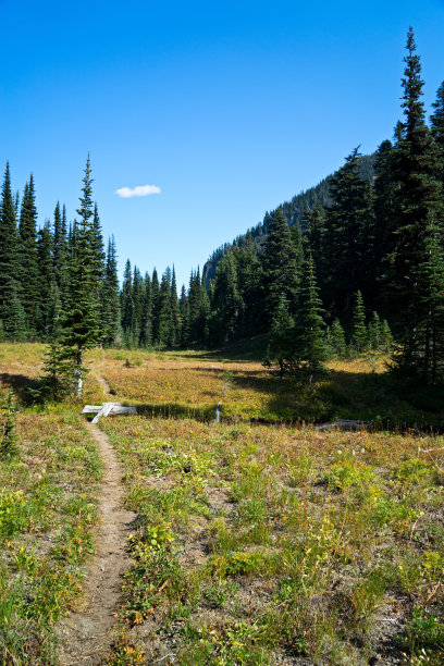 山间小路图片下载