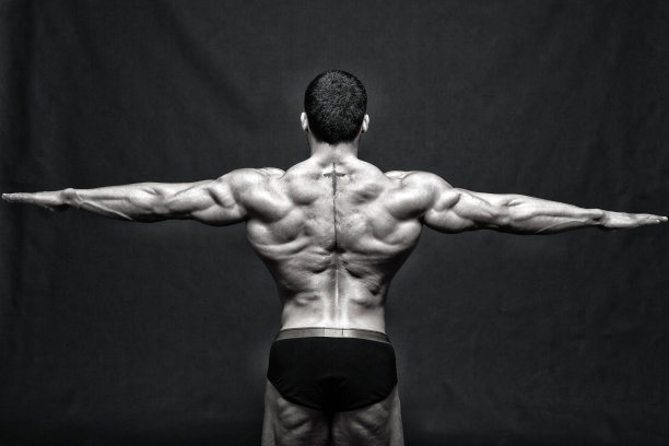 完美的身体图片下载