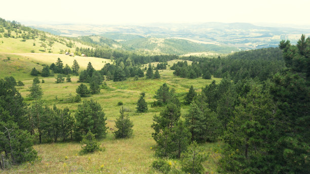 山景观图片下载