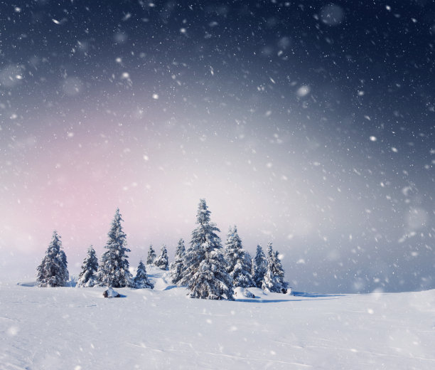 下雪的景色图片下载