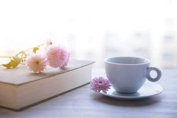 杯子上有一本书图片下载