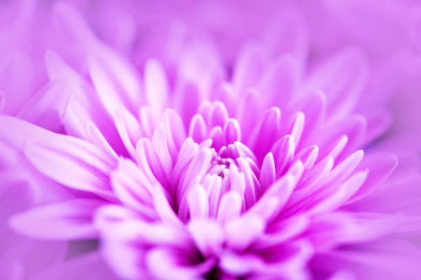 妈妈宏图片下载