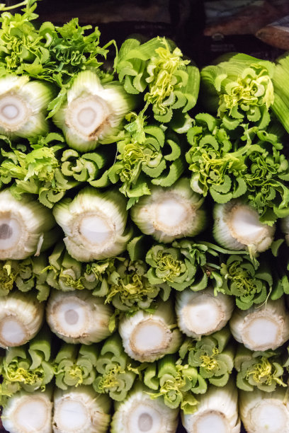 有机芹菜图片下载