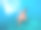 海星素材图片