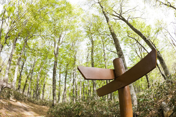 森林中的小道哨所图片下载