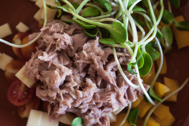 金枪鱼沙拉图片下载