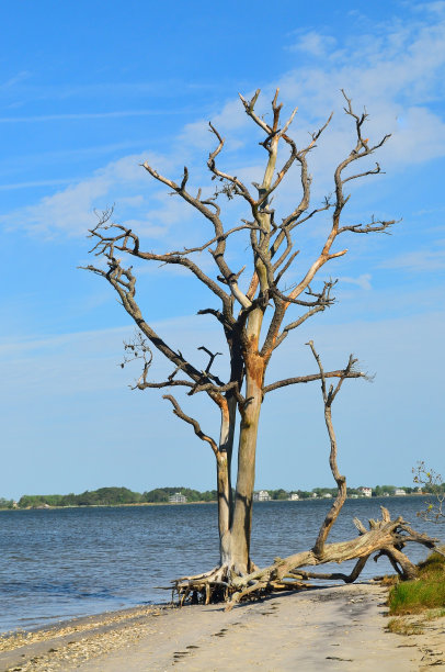 阿萨蒂格岛上的风化障碍图片下载