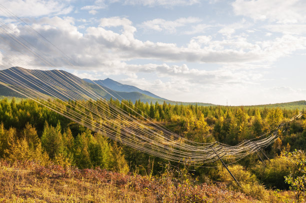 在东西伯利亚的针叶林中损坏的旧电线。图片下载