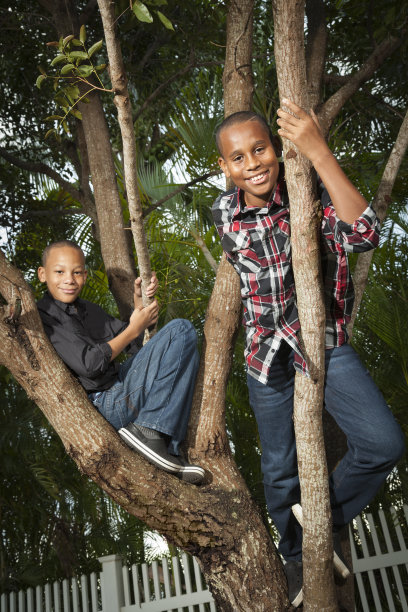 爬上树图片下载