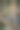 爬上树图片下载