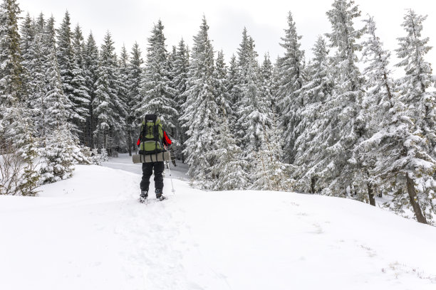 在冬季森林里背包旅行的人。图片下载