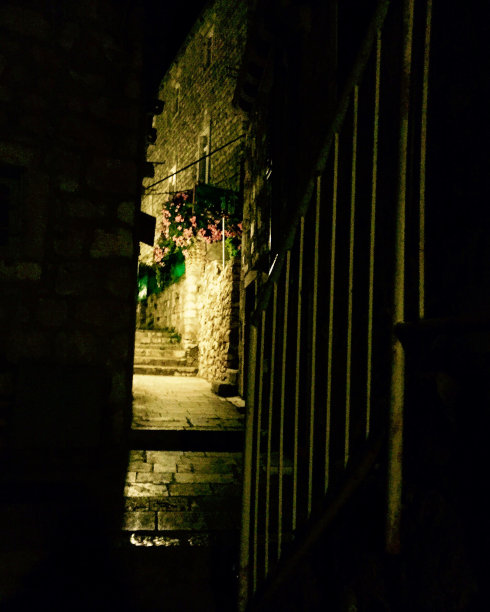 夜花园图片下载