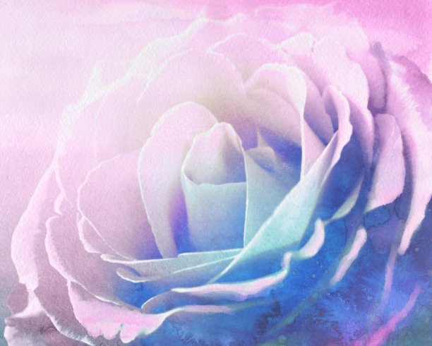 玫瑰水彩背景图片下载