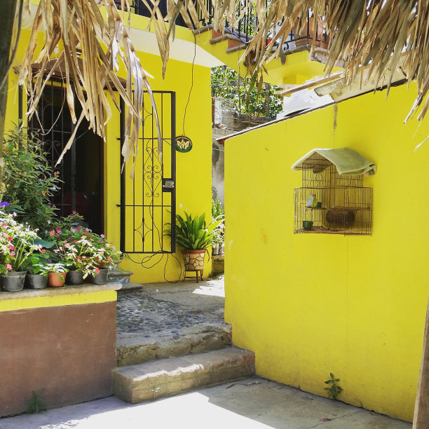 充满活力的黄色外墙在墨西哥，拉丁美洲图片下载