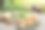 红酒图片素材ID：153724504