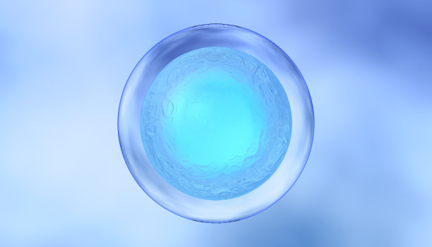 人类细胞图片下载