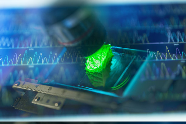 生物科技图片素材ID：153767092