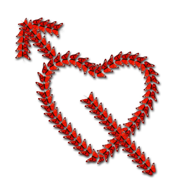 蝴蝶做成的心图片下载