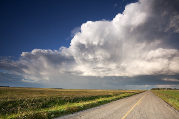 加拿大萨斯喀彻温省布法罗庞德省公园图片下载