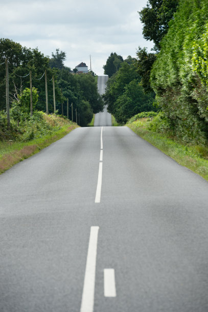笔直的路穿过绿色的树林图片下载
