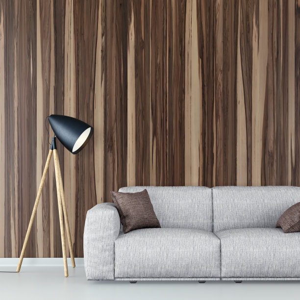 客厅配有沙发、装饰和复印空间图片下载